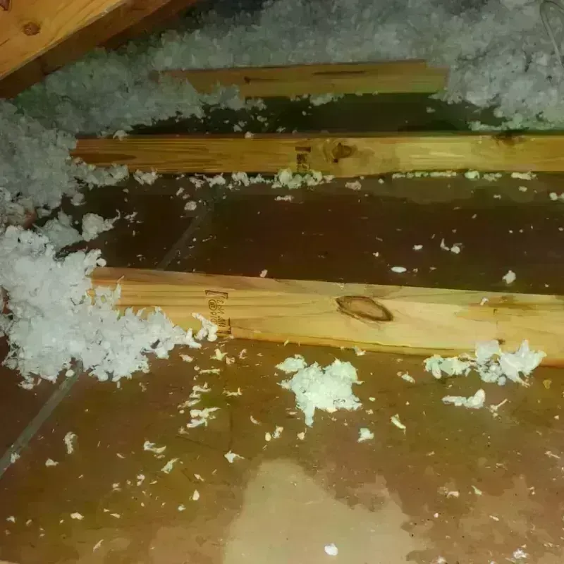 Attic Water Damage in Huachuca City, AZ